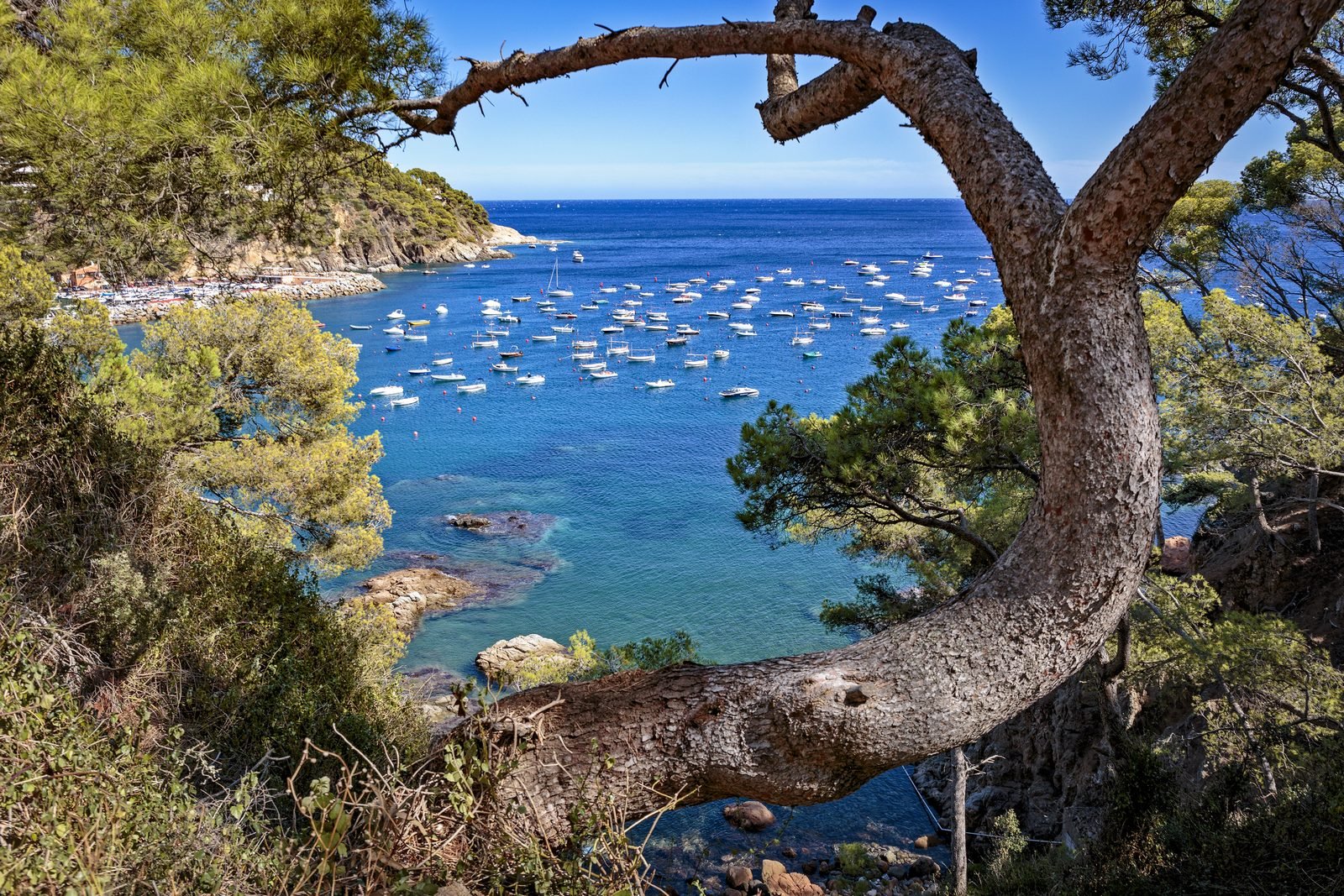 Льяфранк Llafranc