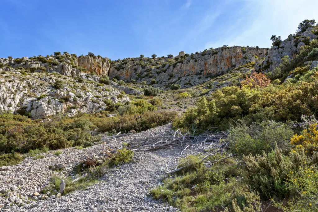 Крепость Castell de Montgrí Fortress Forteresse fortaleza fortalesa 