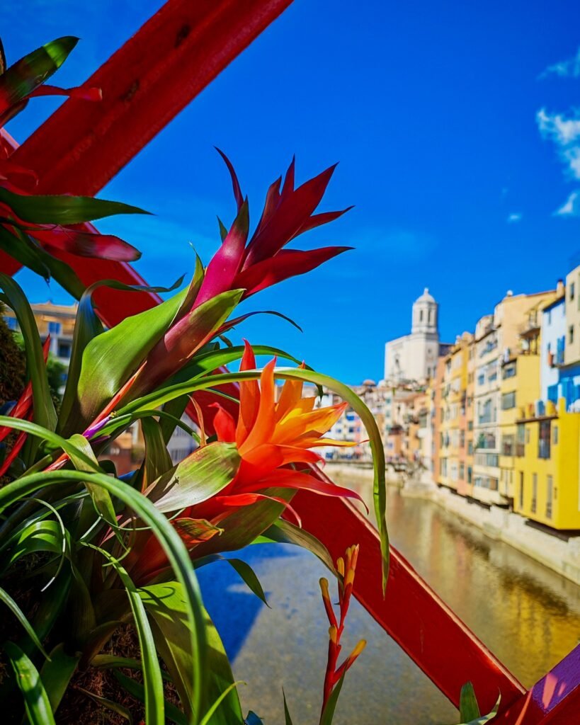 Temps de Flors Girona 2026 24 — Metamorfosi vertical “Columnes vives”
